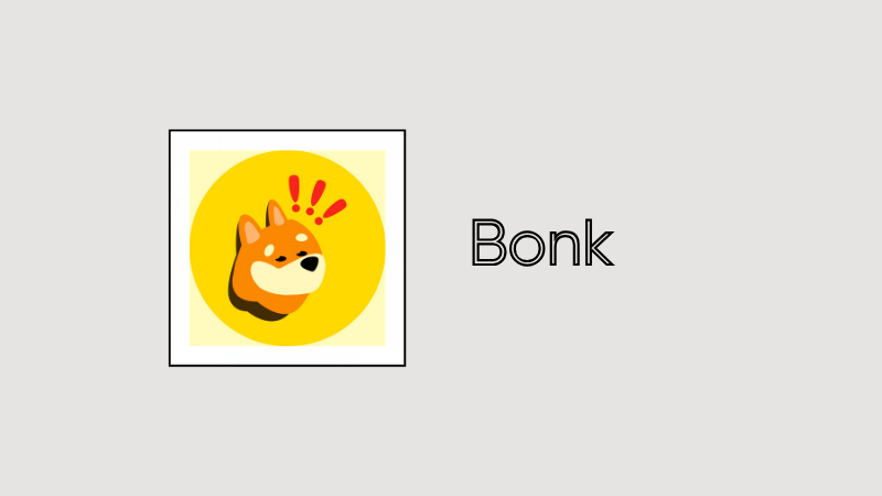 bonk-meme-coin