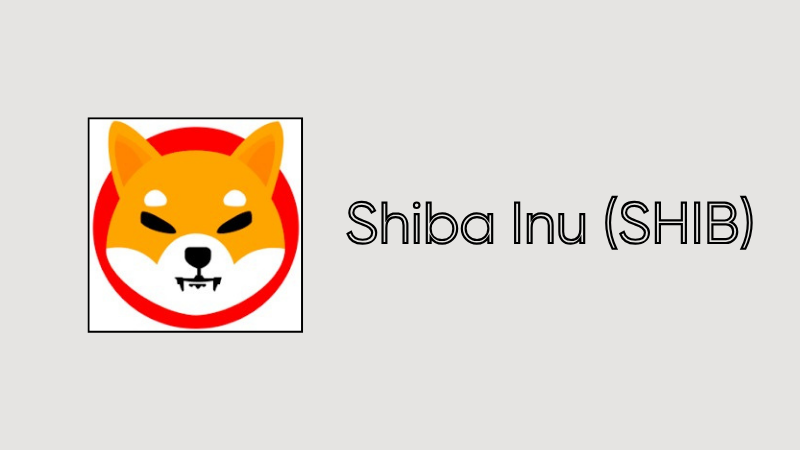 shiba-inu